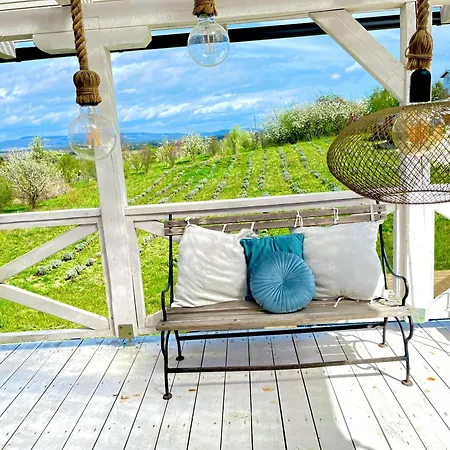 Chalet Tiny House At Balaton *