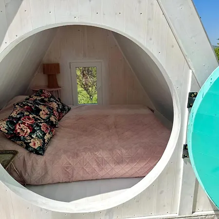 Tiny House At Balaton