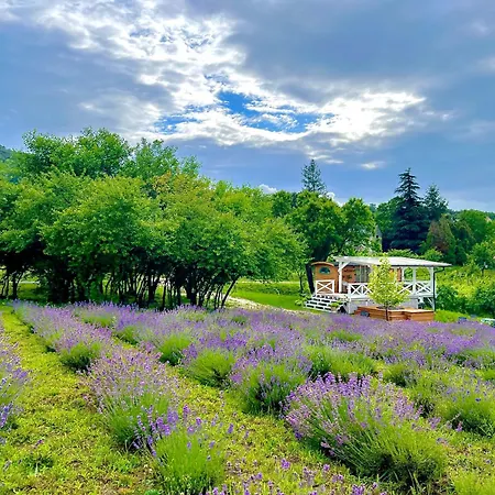 Dağ evi Tiny House At Balaton Kisapati