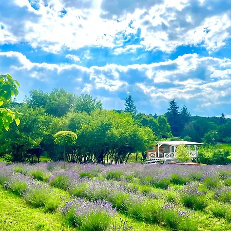 Tiny House At Balaton Kisapati
