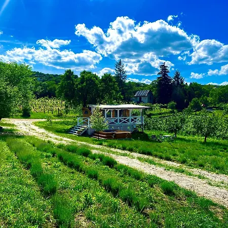 Tiny House At Balaton Chalet *