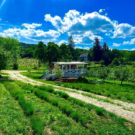 Tiny House At Balaton Dağ evi *