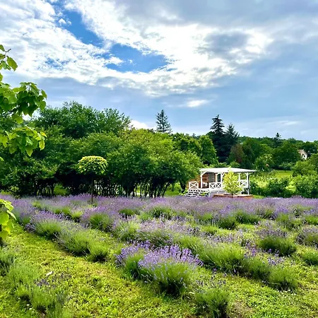 Tiny House At Balaton Dağ evi *