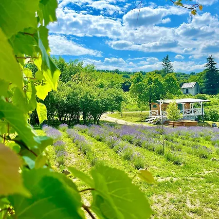 Chalet Tiny House At Balaton *