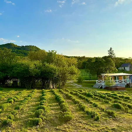 Chalet Tiny House At Balaton